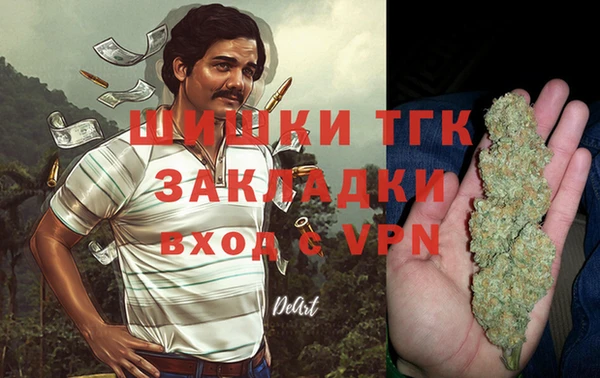 ПСИЛОЦИБИНОВЫЕ ГРИБЫ Балабаново