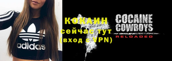 ПСИЛОЦИБИНОВЫЕ ГРИБЫ Балабаново