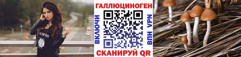 Псилоцибиновые грибы прущие грибы хочу наркоту мега tor Гай