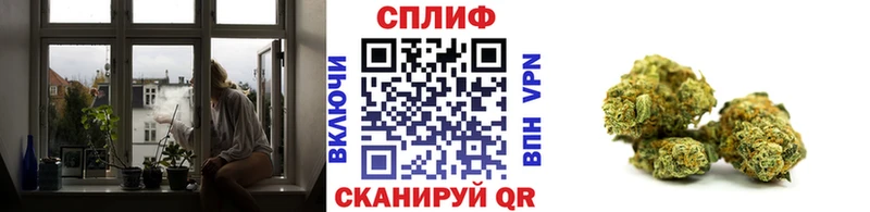 где продают   Гай  Канабис индика 